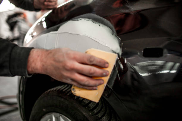 Best Industrial Mold Remediation  in Waterloo, IL