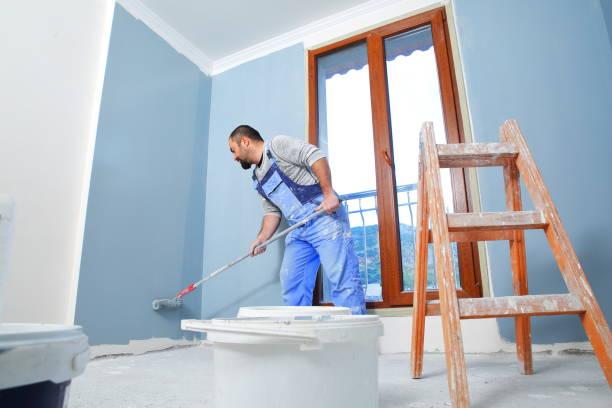  Waterloo, IL Mold Removal Pros