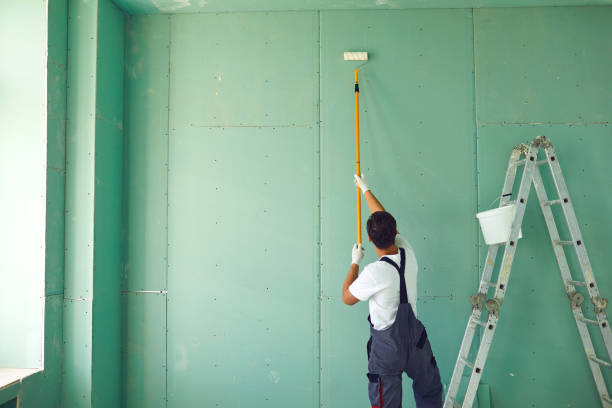 Best Black Mold Removal  in Waterloo, IL