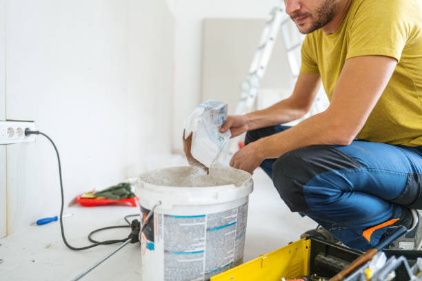 Best Post-Construction Mold Inspection  in Waterloo, IL