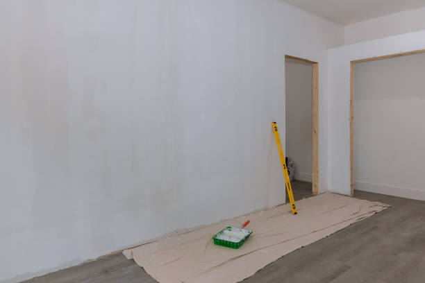 Best Water Damage & Mold Remediation  in Waterloo, IL