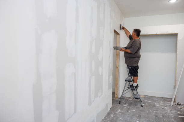 Best Basement Mold Removal  in Waterloo, IL